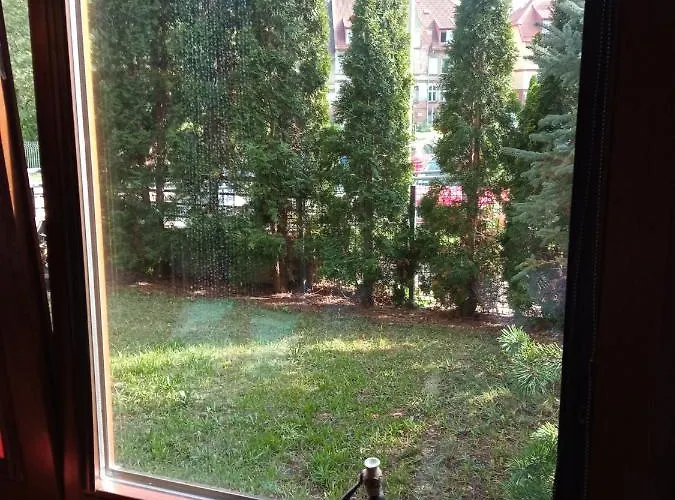 Niewielki Jedno Lub Dwuosobowy W Duzym Mieszkaniu W Wrzeszcz Ul Smoluchowskiego Kolo Akademii Medycznej - Cooliving Проживание в семье