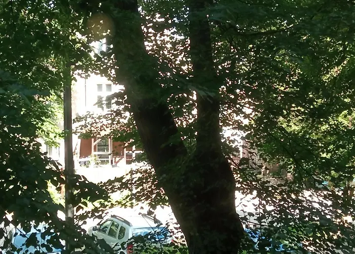 民宿 Niewielki Jedno Lub Dwuosobowy W Duzym Mieszkaniu W Wrzeszcz Ul Smoluchowskiego Kolo Akademii Medycznej - Cooliving 格但斯克